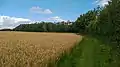 Südzugang vom Pugholz zum Fehrenholz