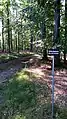 Bild 7: Wildruhezone im Karlsburger Holz
