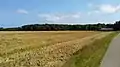 Bild 3: Nordrand Karlsburger Holz