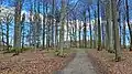 Nordrand des Kiuser Geheges
