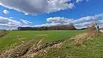 Ostseite des Kiuser Geheges