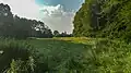 Weide am Südostrand des FFH-Teilgebietes Broholm