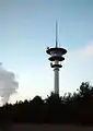 FMT 6Waghäusel