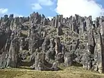 Santuario Nacional de Huayllay
