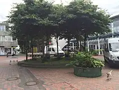 Sitzinsel mit Bänken und Bäumen