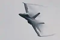 F/A-18 Hornet Solo Display