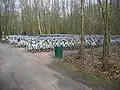 Fahrradständer mit Leihrädern (De Hoge Veluwe)