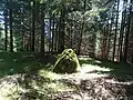 Menhir oberhalb Falera