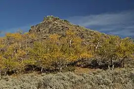 Herbst im National Forest
