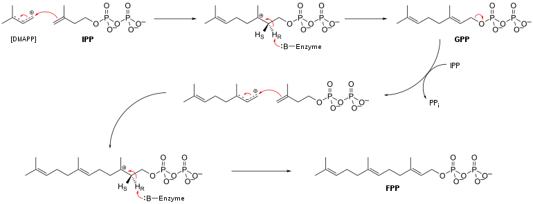 Synthese von Farneyslpyrophosphat