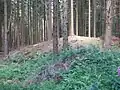 Hügelgrab