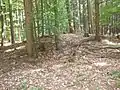 Hügelgrab