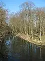 Wustrauer Rhin am Stadtpark
