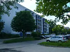 Feldberger Ring