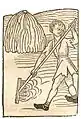 Hortus sanitatis, Mainz 1491. Abbildung zum Kapitel Fenum – Heu