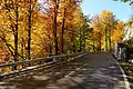 Herbstlicher Buchenwald oberhalb der Tscheppaschlucht