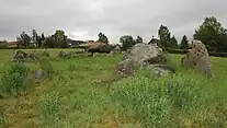 Das Hünenbett Grisemosehøj