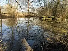 Beibach mit Teich und Feuchtflächen ⊙48.8053279.339372