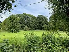 Landschaftsmosaik nördlich der Bruchhauser Straße