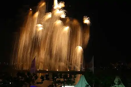 Feuerwerk im Jahr 2014
