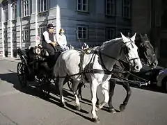 Fiaker, Wien, 2006