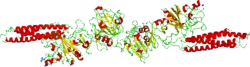 Fibrinogen