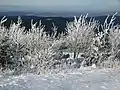Blick vom Gipfel in Richtung Nordwesten. Schneefallgrenze bei ca. 600 m