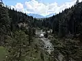 Finzbach an der Einmündung des Angerlgrabens. Im Hintergrund die Schöttelkarspitze (links) und der Wörner (rechts)