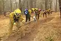 Feuerwehrleute beim Anlegen einer Brandschneise