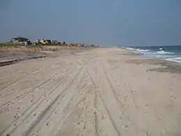 Strand bei Fire Island Pines