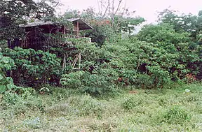 Mirador Gästehaus im Lobéké-Nationalpark