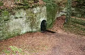 Blick auf den Keller