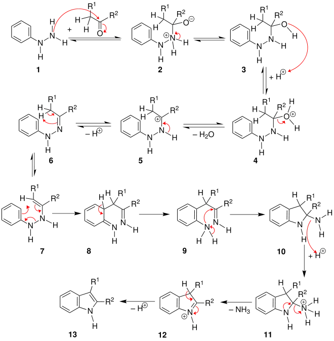 Mechanismus der Fischer-Indol-Synthese