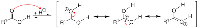 Mechanismus 1 Veresterung
