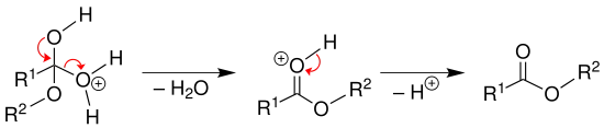 Mechanismus 3 Veresterung