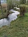 Fischtreppe