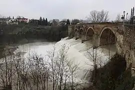 Bidente mit Ponte dei Veneziani