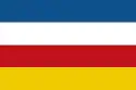 Flagge des Ortes Dokkum