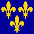 Wappenbanner der Kapetinger seit dem 14. Jahrhundert