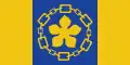 Flagge von Hamilton