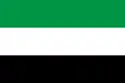 Flagge des Ortes Leek