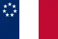 Inoffizielle Flagge vom Januar 1861