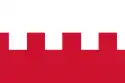 Flagge der Gemeinde Rhenen