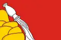 Flagge der Oblast Woronesch