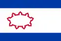 Flagge des Ortes Winschoten