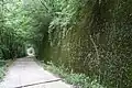 Ehemalige Trasse oberhalb von Montan