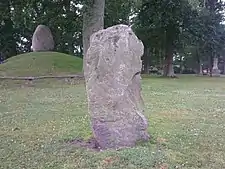 Stein 2 von Flemløse