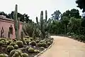 Kakteen und Wolfsmilch-Garten