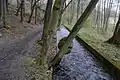 In Höhe der Straße „Am Flößgraben“