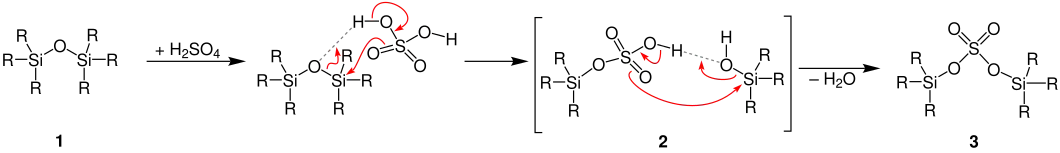 Flood-Reaktion Mechanismus1